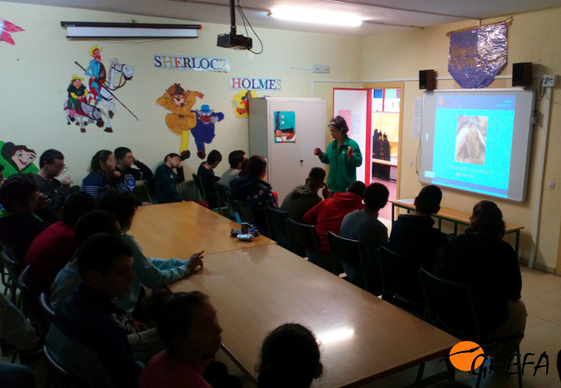 Un momento de la jornada de "GREFA en las aulas" en el centro de educación especial "Príncipe de Asturias".