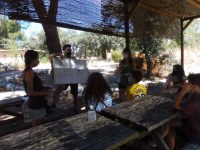 Actividad en campas de GREFA P1290789