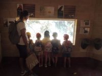 Visita a las instalaciones P1290797