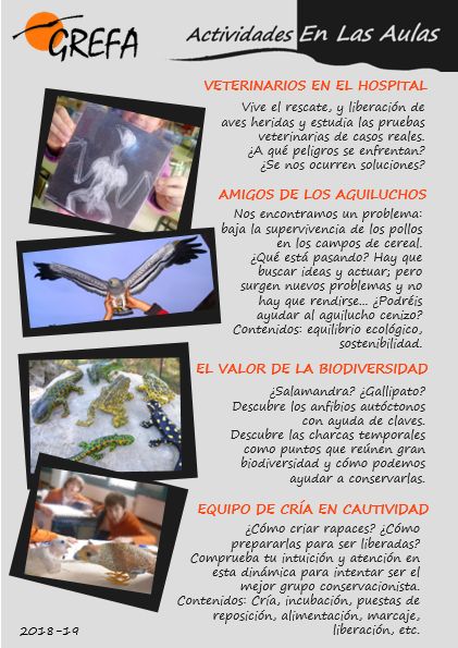 A5Contenido