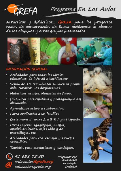 A5infoGral