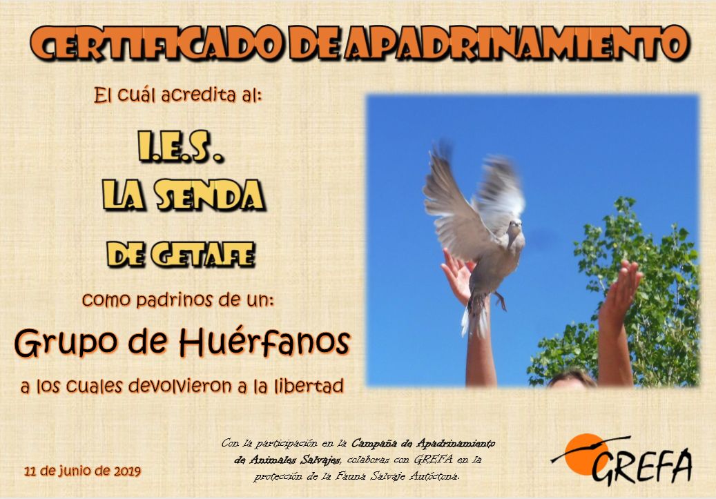 padrinos2_ok
