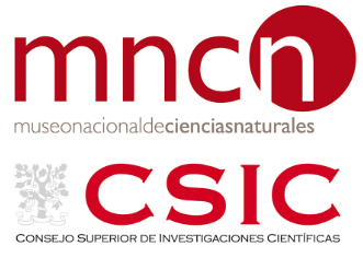 mncn