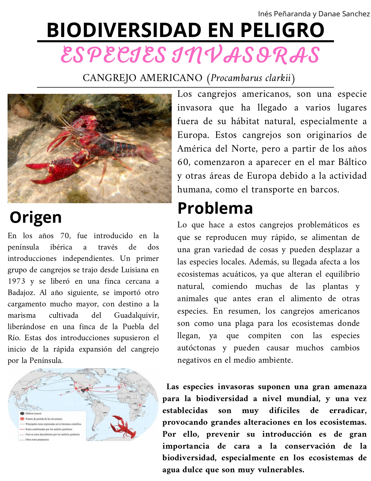 Cangrejo Americano_page-0001