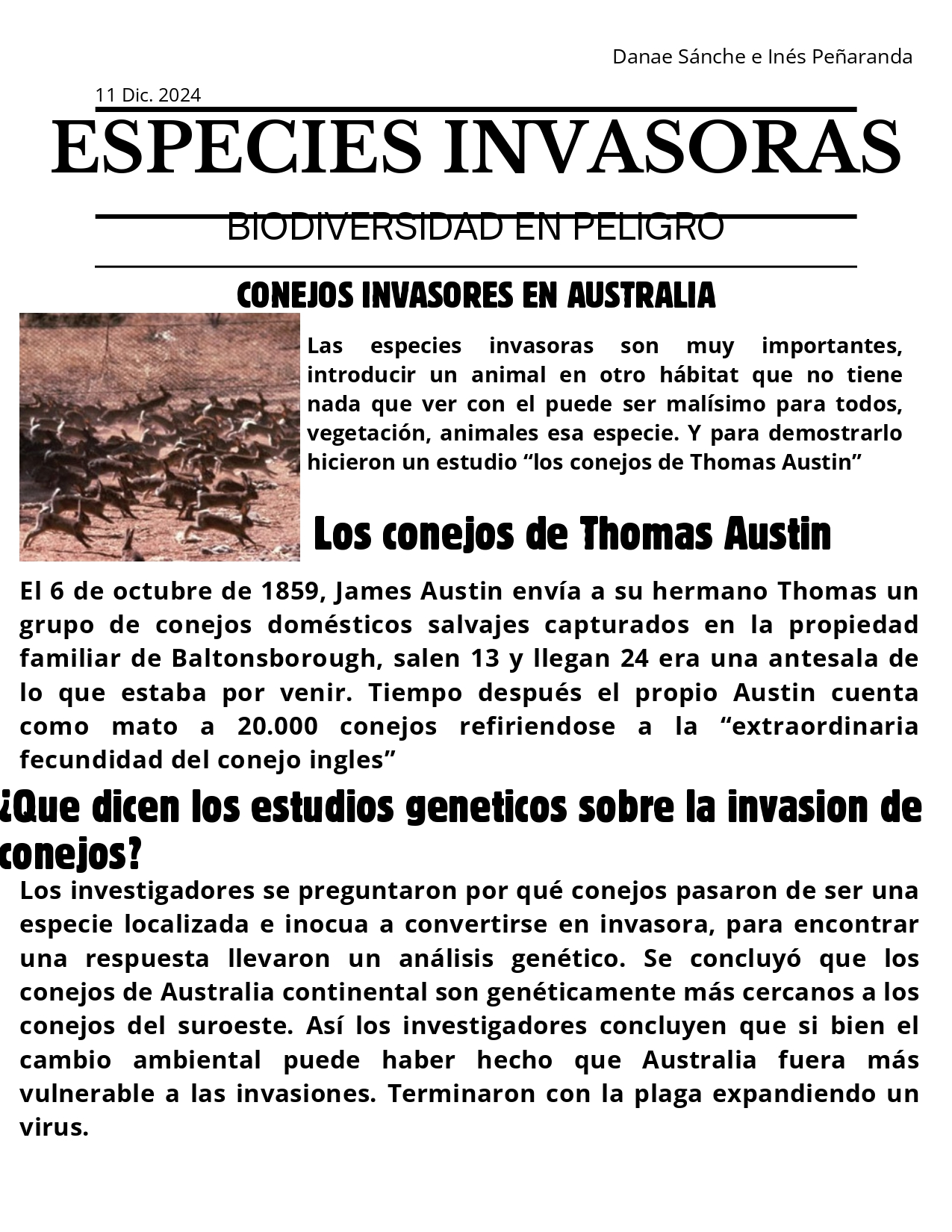 Conejos de australia_page-0001