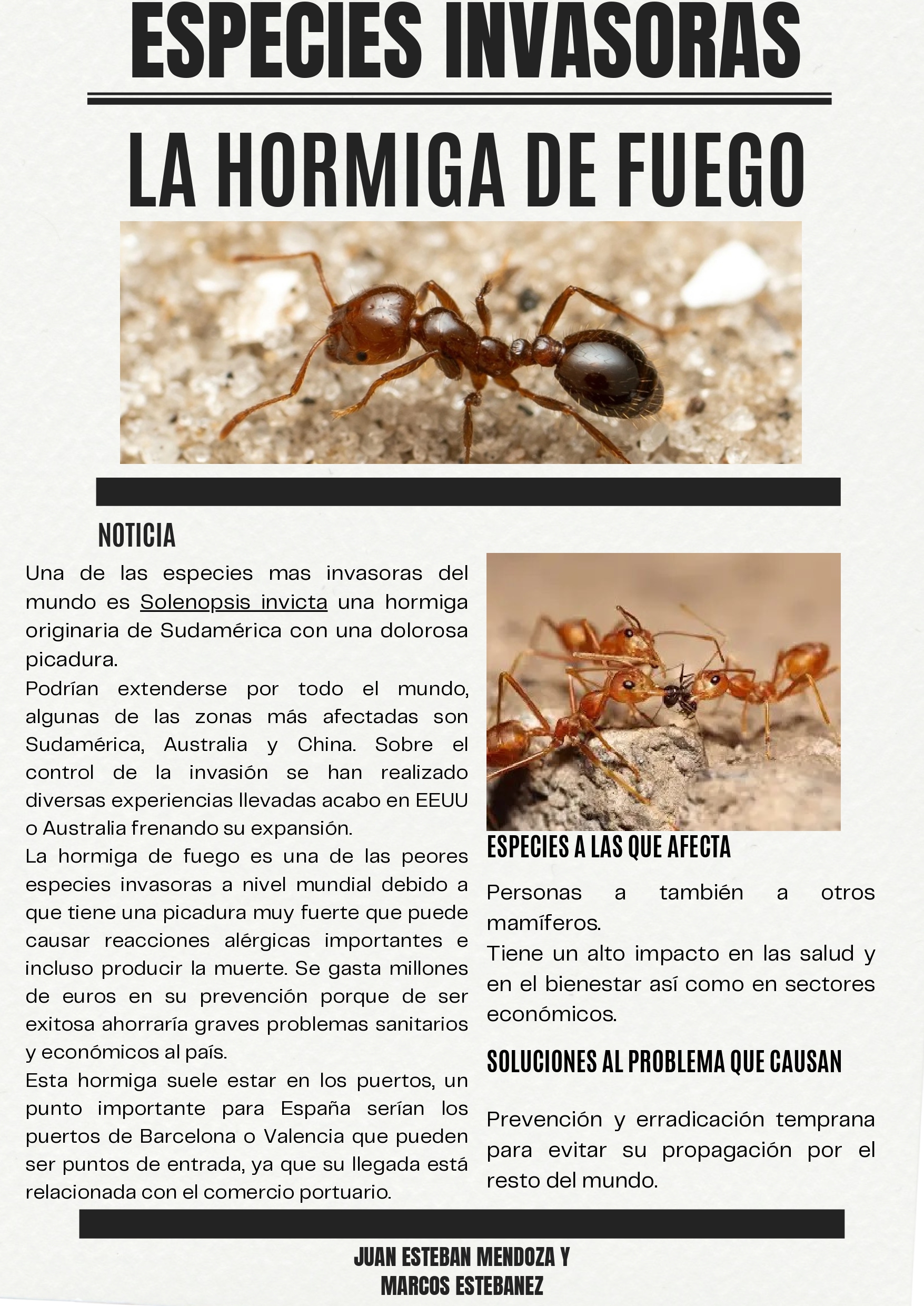 HORMIGA DE FUEGO_page-0001