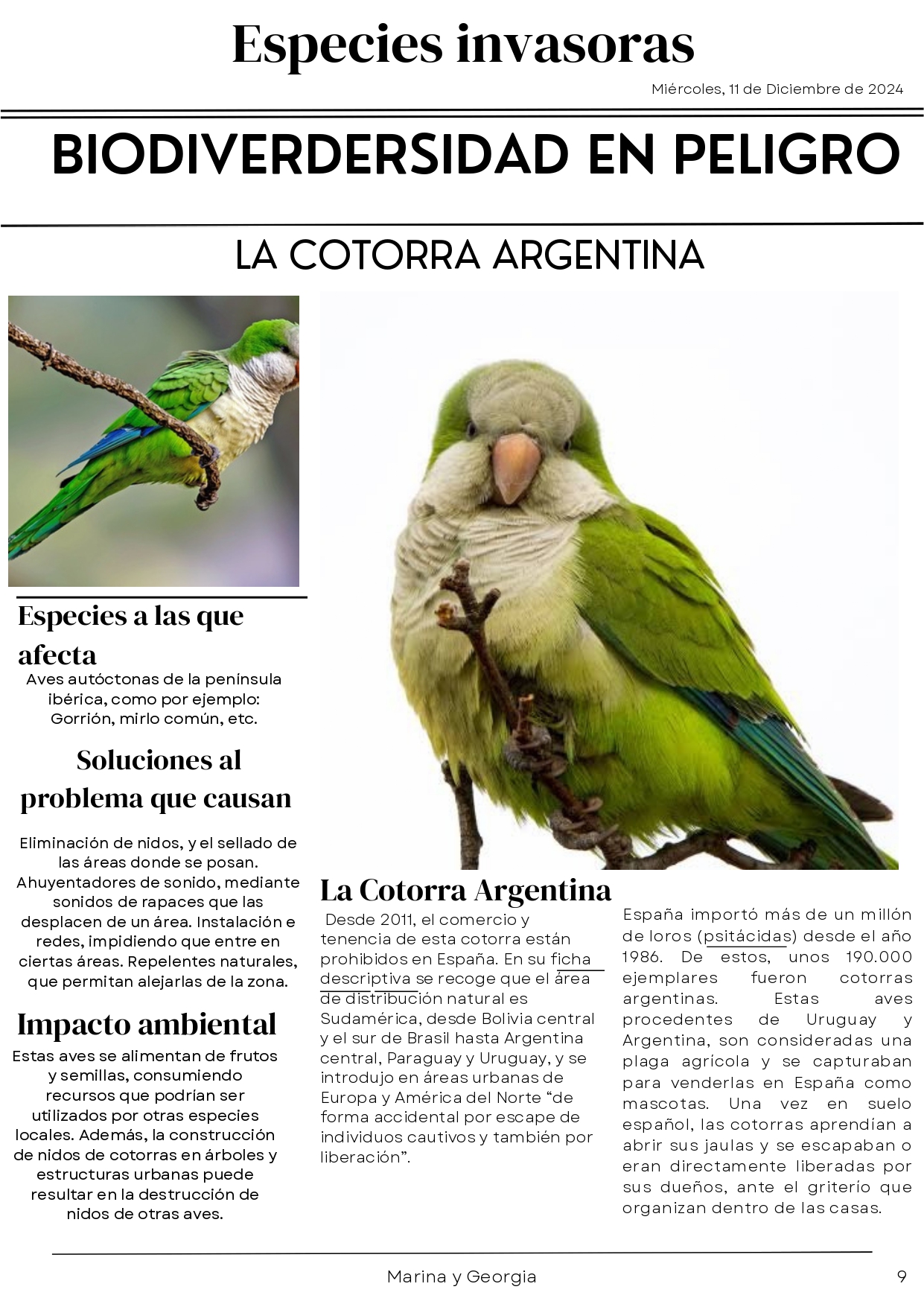 La cotorra argentina_page-0001