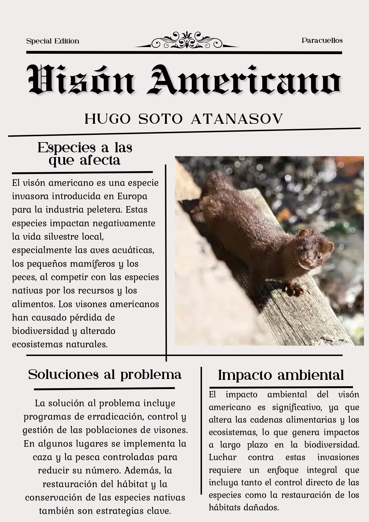 VISON AMERICANO_page-0001