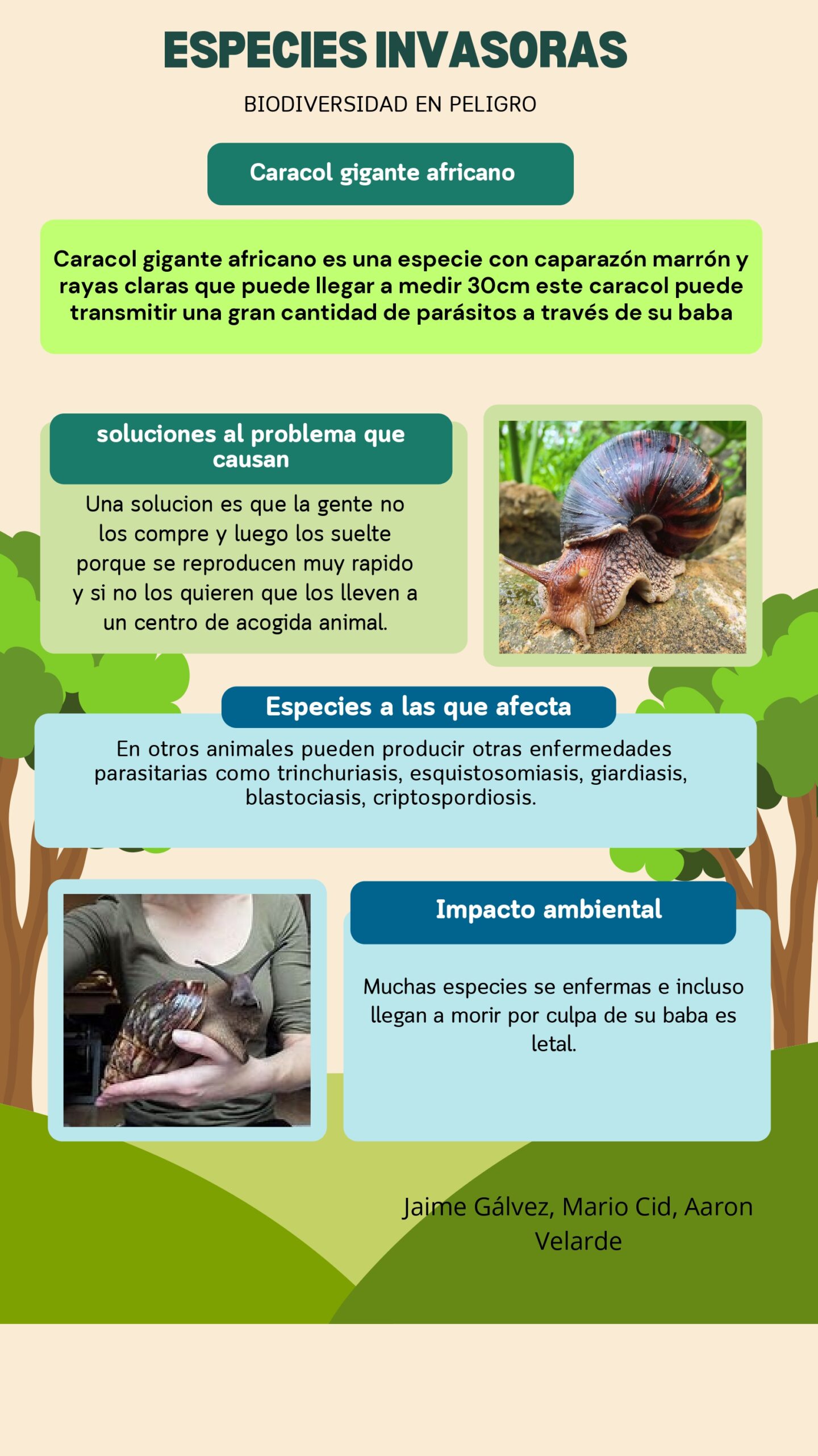 caracol gigante_page-0001