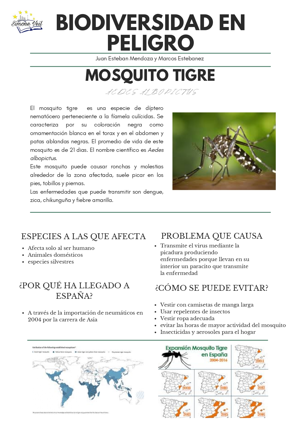 mosquito tigre_page-0001