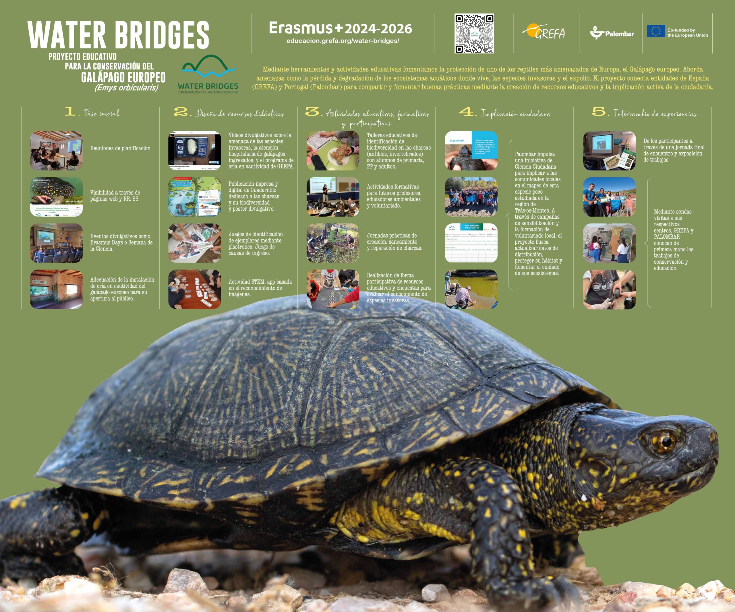 panel DEFINITIVO 2025_page-0001