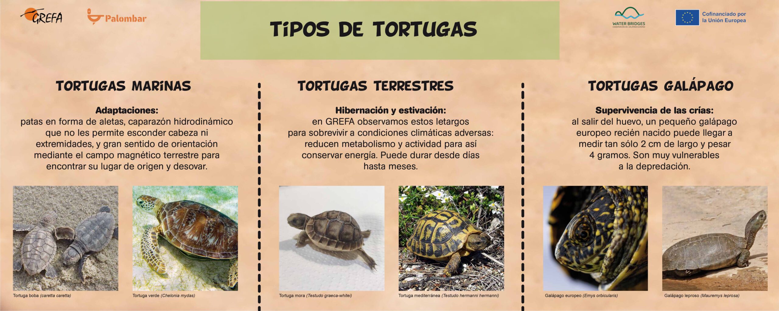 paneles 100x40_page-0001