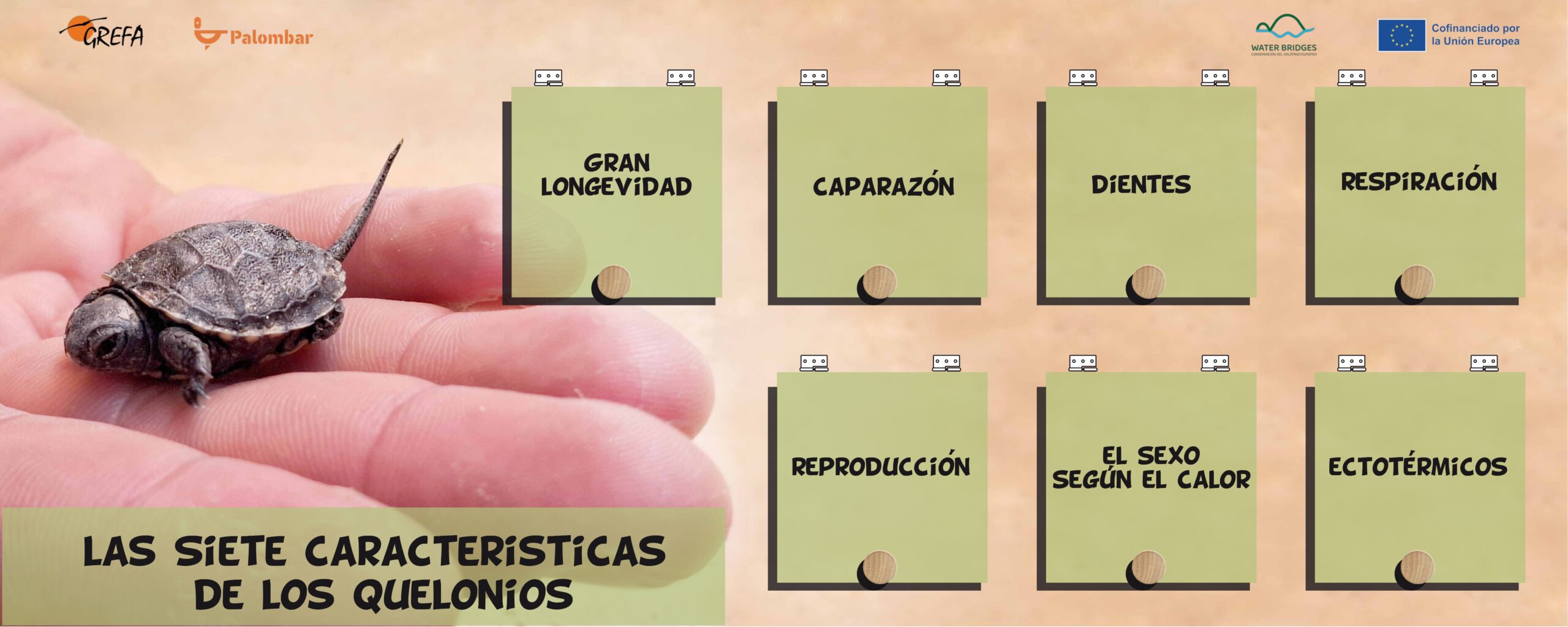 paneles 100x40_page-0002