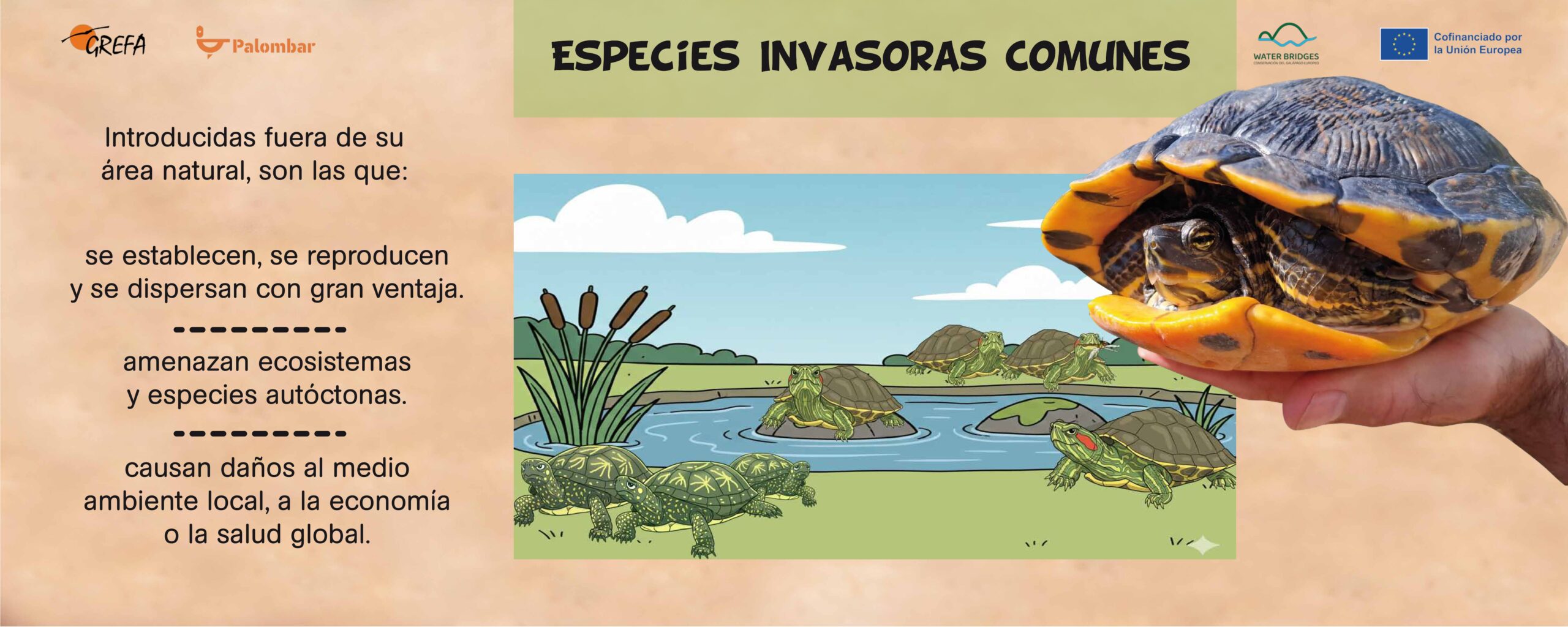 paneles 100x40_page-0004