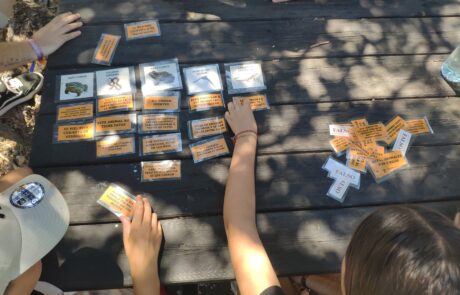 Campus juvenil taller sobre mitos de animales